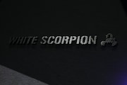 WHITE SCORPIONのロゴ。