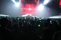 Mrs. GREEN APPLEのライブの様子。