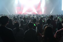 Mrs. GREEN APPLEのライブの様子。