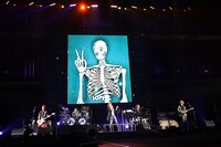 「SOPHIA LIVE 2023 獅子に翼V」の様子。（撮影：堀卓郎）