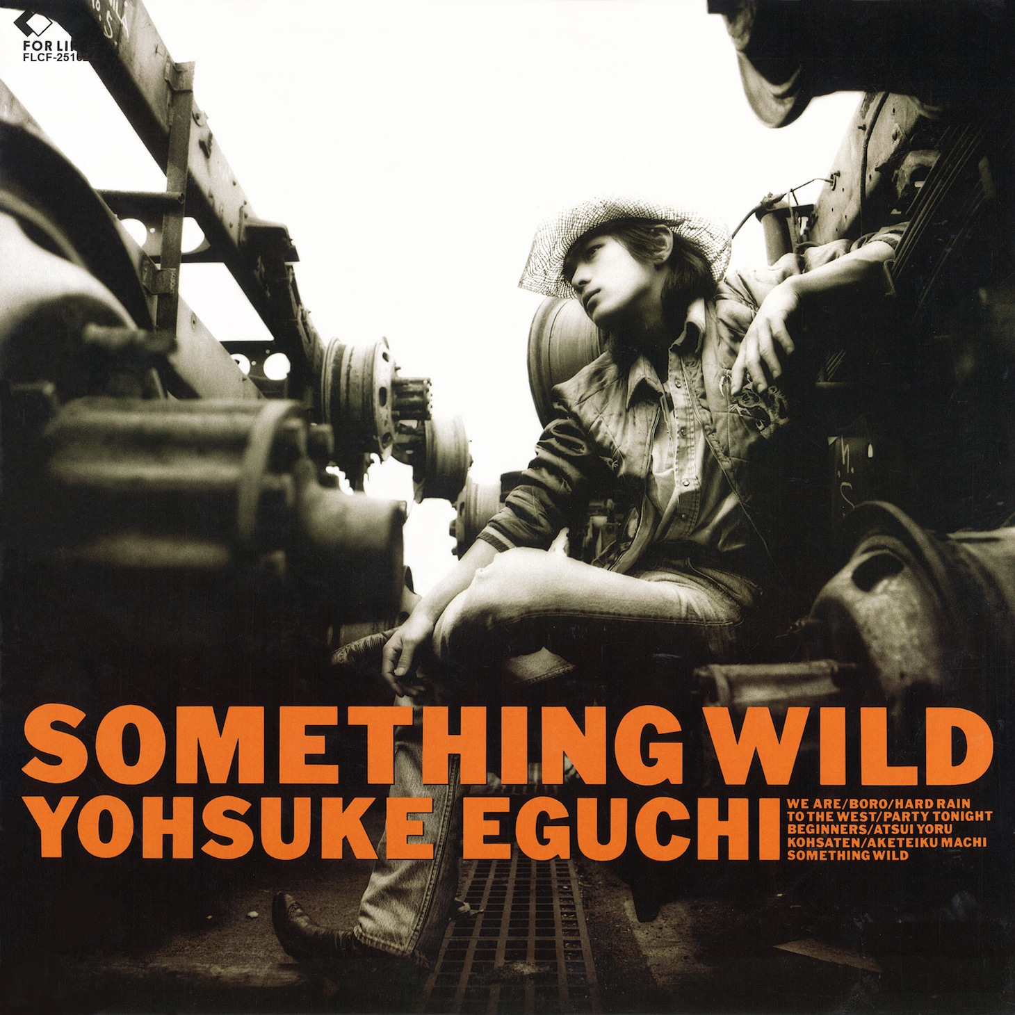 江口洋介「Something Wild」ジャケット