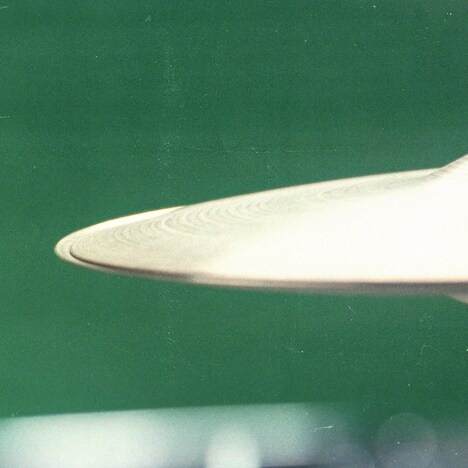 DYGL「Acervation」配信ジャケット