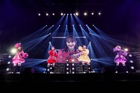 「MOMOIRO CLOVER Z 15th Anniversary Tour『QUEEN OF STAGE』」ファイナル公演の様子。