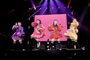 「MOMOIRO CLOVER Z 15th Anniversary Tour『QUEEN OF STAGE』」ファイナル公演の様子。
