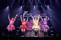 「MOMOIRO CLOVER Z 15th Anniversary Tour『QUEEN OF STAGE』」ファイナル公演の様子。