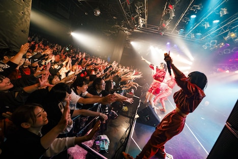 ASP（Photo by sotobayashi kenta）