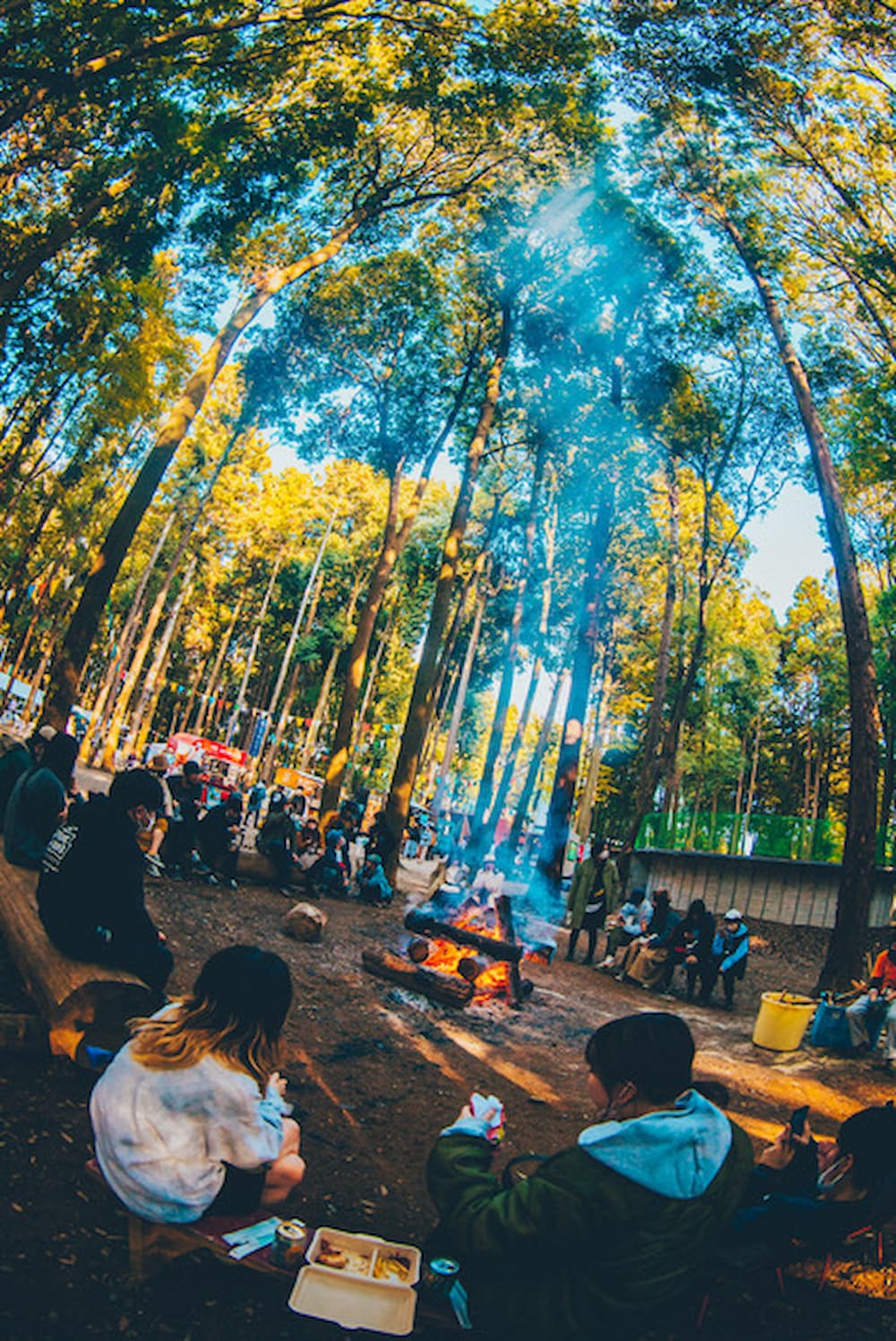 「CAMPASS」の様子。