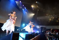 フロアにお菓子をばら撒く葵るり、茜空、芹澤もあ。