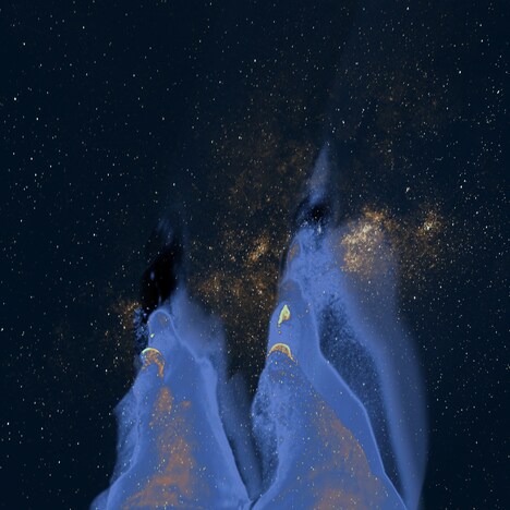 シュガーダンス「木星金木犀」ジャケット