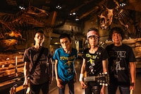 ザ・クロマニヨンズ