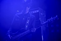 キタダマキ（B / syrup16g）（撮影：古溪一道）