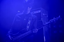 キタダマキ（B / syrup16g）（撮影：古溪一道）