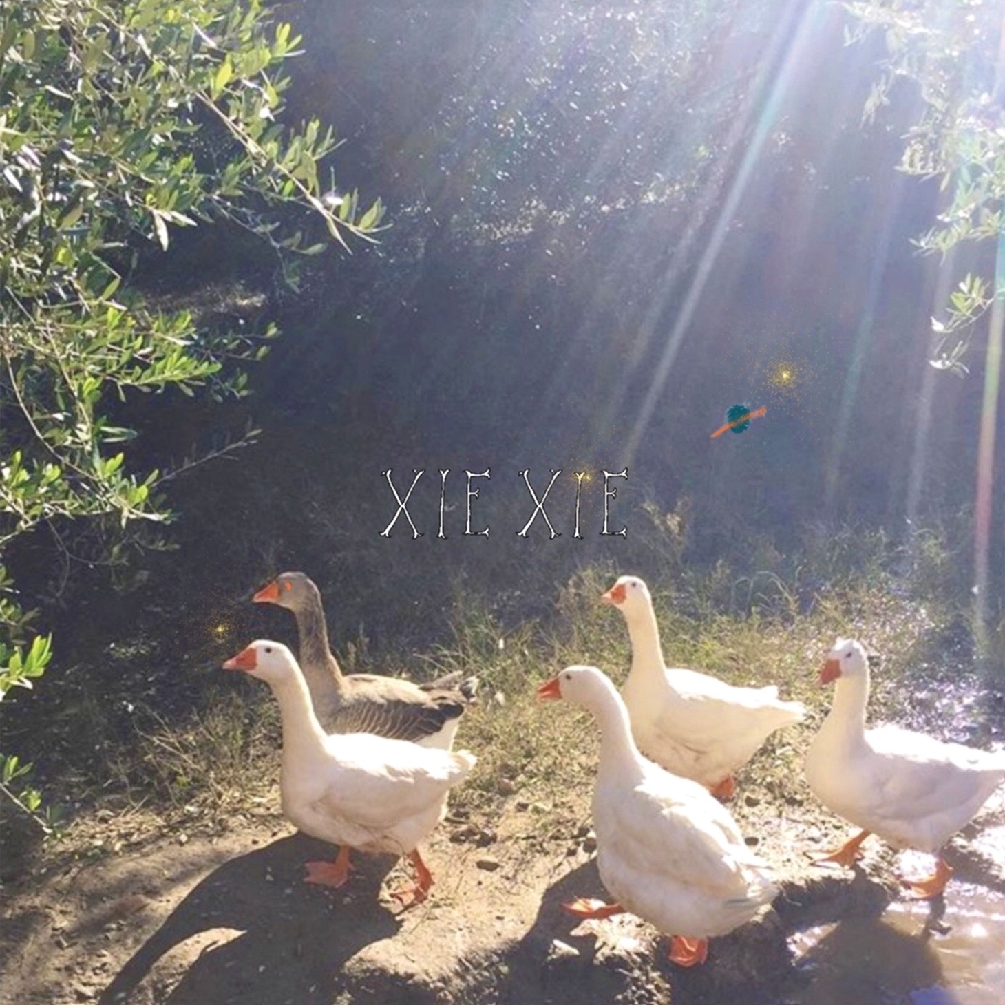 xiexie「XIEXIE」ジャケット
