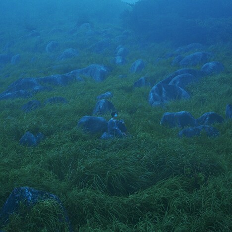 She Her Her Hers「Diffusion of Responsibility」ジャケット