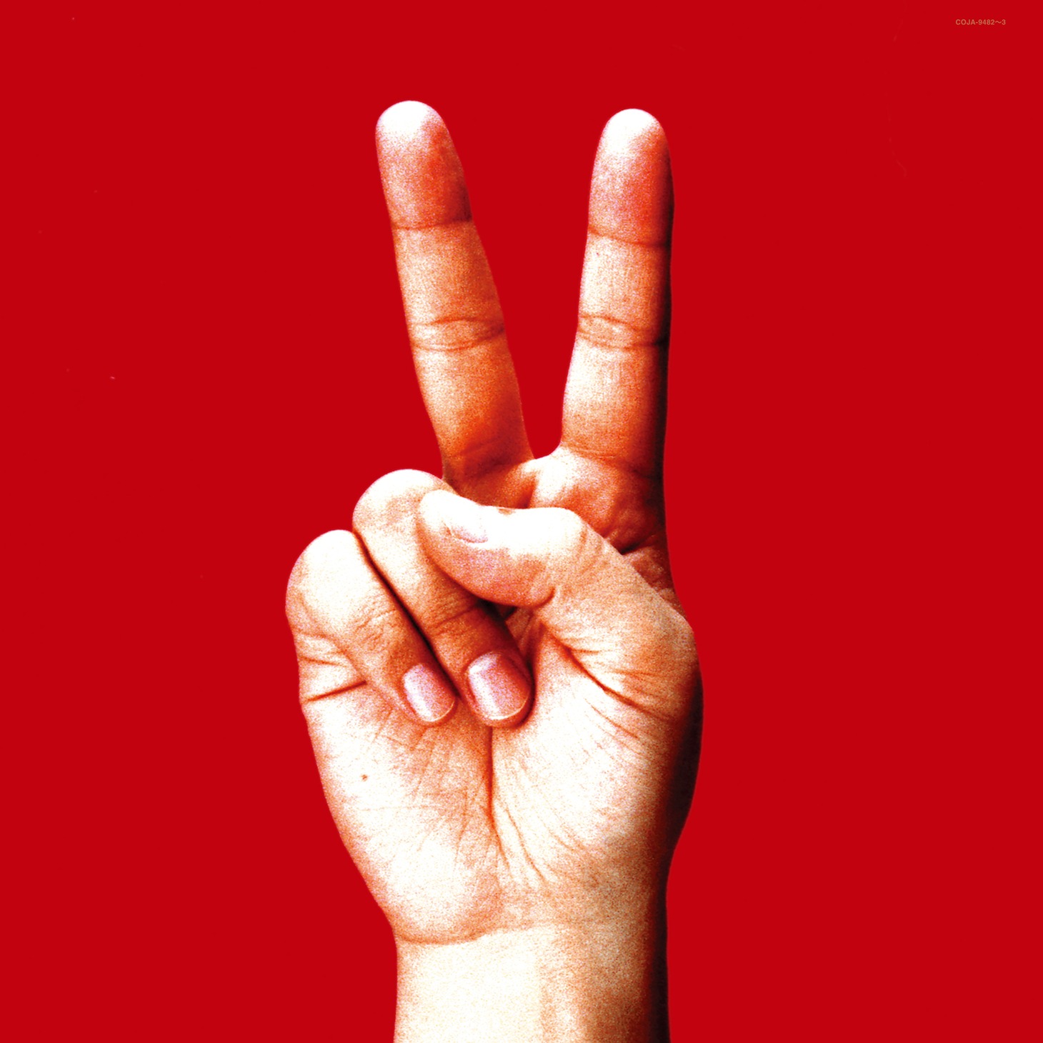 bloodthirsty butchers「birdy」ジャケット