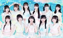 かすみ草とステラ