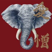 炙りなタウン「愛憎」ジャケット