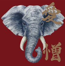 炙りなタウン「愛憎」ジャケット