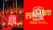 「SHISHAMO 10th Anniversary Final Live『FINALE!!! -10YEARS THANK YOU-』」告知用画像