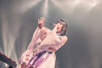 すずめ（撮影：真島洸）