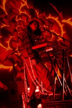 ササノマリイ（Photo by Yukitaka Amemiya）