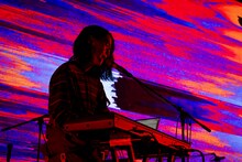 ササノマリイ（Photo by Yukitaka Amemiya）