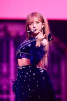 マシロ（撮影：上山陽介 / 木村泰之）