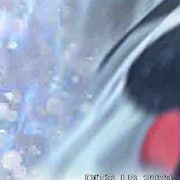 LAUSBUB「Dancer in the Snow」配信ジャケット