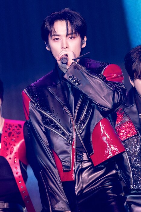 リノ（撮影：河村美貴 / 田中聖太郎写真事務所）