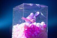 星名美怜が色を塗ったウサギ型の貯金箱。