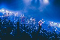 フィッシュマンズ「FISHMANS TOUR “LONG SEASON 2023"」Zepp DiverCity（TOKYO）公演の様子。（撮影：西槇太一）