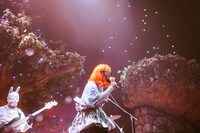 カメレオン・ライム・ウーピーパイ