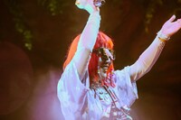 カメレオン・ライム・ウーピーパイ