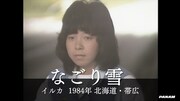 「イルカのフォークな生活」投稿動画より。