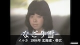 「イルカのフォークな生活」投稿動画より。