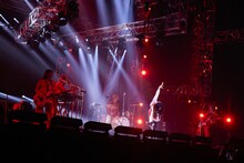 女王蜂（撮影：山内洋枝）