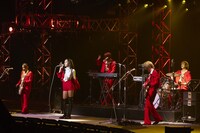 女王蜂（撮影：山内洋枝）