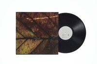 Pay money To my Pain「gene」アナログ盤のジャケットと盤面。