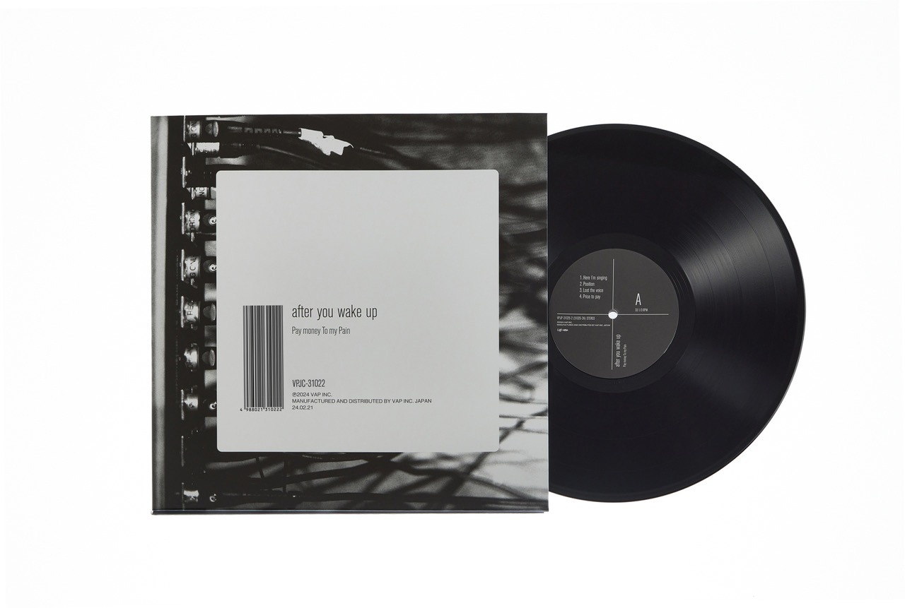 「after you wake up」アナログ盤のジャケットと盤面。