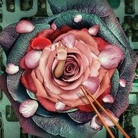 MIGMA SHELTER「OZ three」ジャケット