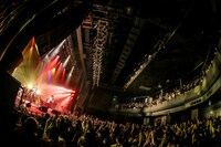 GRAPEVINE（撮影：森好弘）