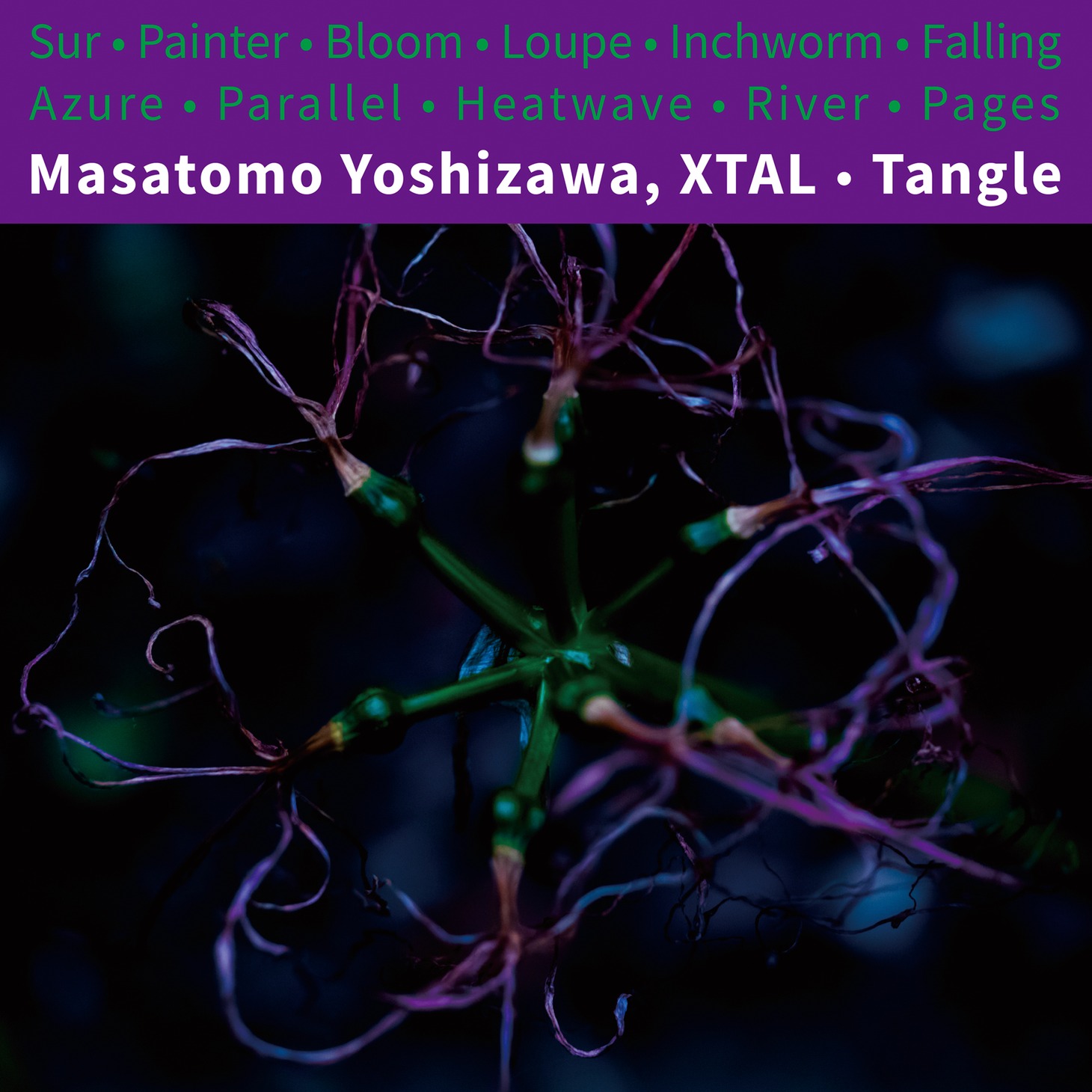Masatomo Yoshizawa、XTAL「Tangle」ジャケット