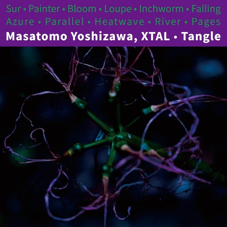 Masatomo Yoshizawa、XTAL「Tangle」ジャケット