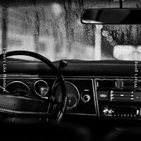 I Don't Like Mondays.「What’s going on? feat. Celina Sharma」配信ジャケット