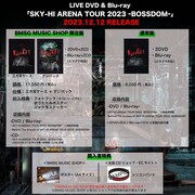 「SKY-HI ARENA TOUR 2023 ーBOSSDOMー」商品概要