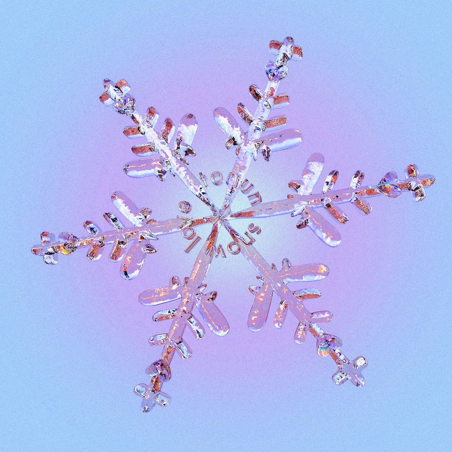 tonun「snow love」ジャケット