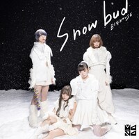 MAPA「Snowbud / BIGHOUSE」ジャケット