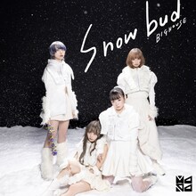 MAPA「Snowbud / BIGHOUSE」ジャケット