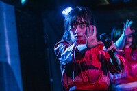 チッチチチーチーチー（ASP）