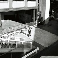 ACE COOL「自尊心」配信ジャケット